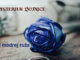 Mysterium - Rád modrej ruže